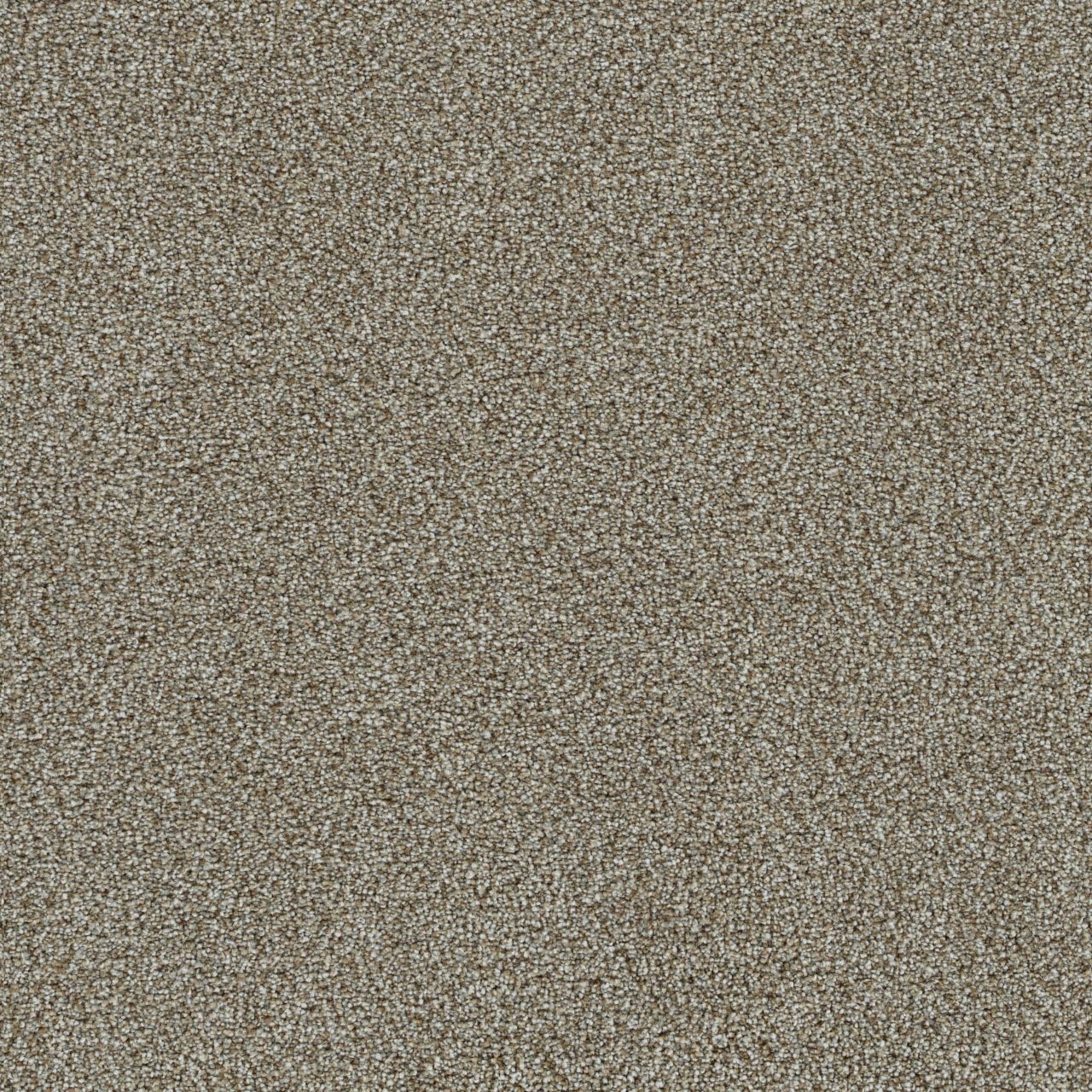 Coastal Pebble