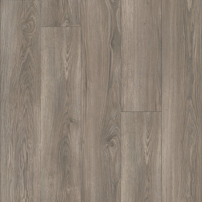 Monarch Oak