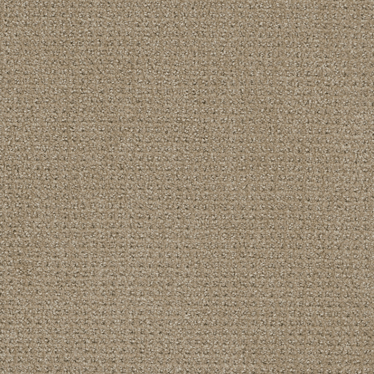 Warm Sand