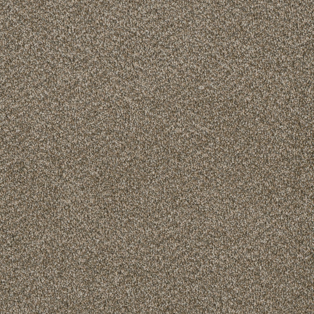 Sandstone Calm